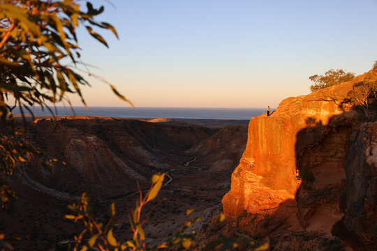 Beautiful picture of a girl watching the sunset over the gorge in Charles Knife canyon, Exmouth, Western Australia. Trees in the foreground and ocean in the background. Cape range national park.