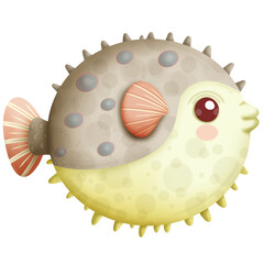 Puffer fish © koraket