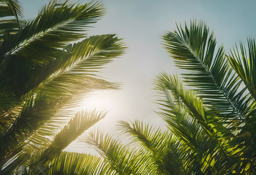Tropical palm leaves silhouette against a bright sky, conveying a serene and exotic atmosphere.