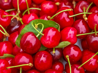 Cerises