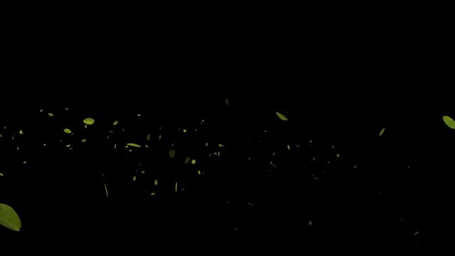 Flying Green leaves over black background. Element Overlay, green screen, alpha effect -4k Seamless Loop