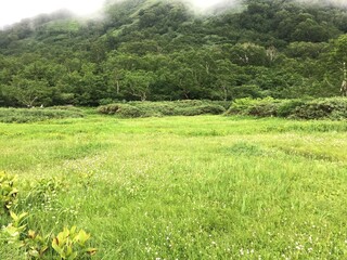 栂池自然園の景色