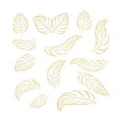 Hand drawn decorative leaf ornament collection vector art