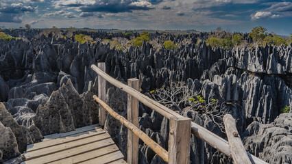 The unique Nature Reserve Tsingy De Bemaraha. Incredible grey karst rocks stretch to the horizon. In the foreground is a wooden observation deck with a railing. Clouds in the blue sky. Madagascar.