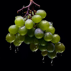 close-up of an isolated grape, capturing intricate details and texture. Generative AI