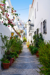 Plant filled narrow streets in the white hillside village of Frigiliana Spain