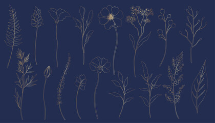Gold line art set spring flower and leaf. Elegant wild flowers vector illustration.