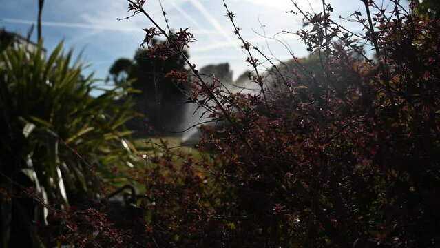Garden sprinkler in  late afternoon sunlight distant shot behind plants in foreground in close focus.Spraying in circular motion.