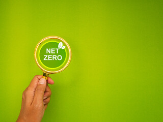 Hand holding a magnifying glass on a green background with text Net Zero.