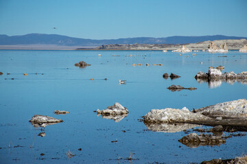 Lake Mono