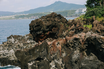 Jusangjeolli cliffs with basalt columns details, Jeju island, South Korea.
