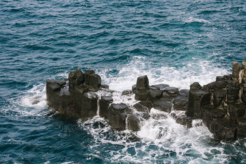 Jusangjeolli cliffs with basalt columns details, Jeju island, South Korea.