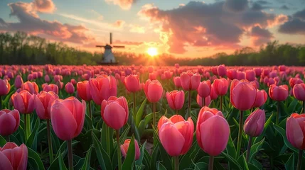Tuinposter Windmill in Holland Michigan - An authentic wooden windmill from the Netherlands rises behind a field of tulips in Holland Michigan at Springtime. High quality photo. High quality photo © Jennifer