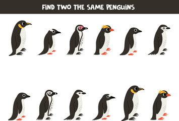 Find two the same penguins. Educational game for preschool children.