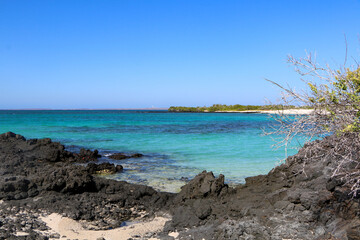 Fototapeta na wymiar Galapagos islands landscape 