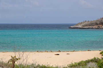 Galapagos islands landscape 