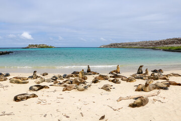 Galapagos islands landscape 
