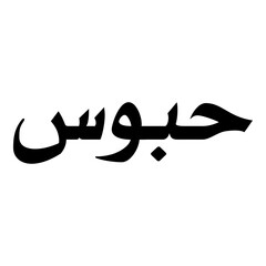 Haboos Muslim Girls Name Naskh Font Arabic Calligraphy