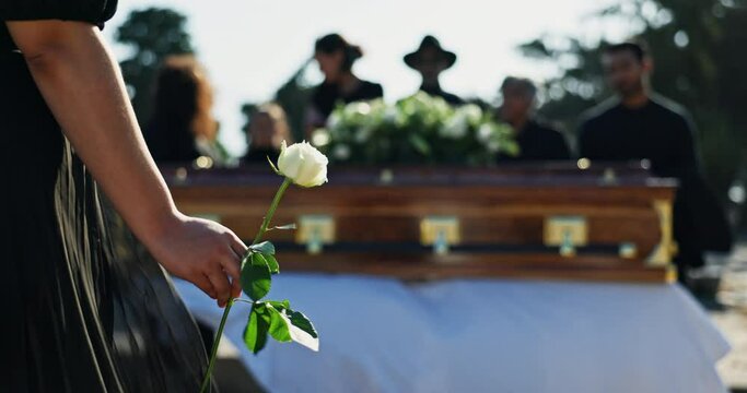 Person, hand and rose with coffin at cemetery for death, Christianity or grief in ceremony of loss. Closeup of woman holding flower at funeral for respect, emotion or blessing by graveyard or casket
