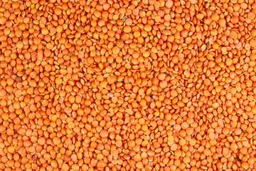 Red lentils background. Top view of red lentils texture.