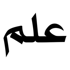 Ilm Muslim Girls Name Naskh Font Arabic Calligraphy