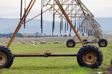Large irrigation system across a paddock - 752726640