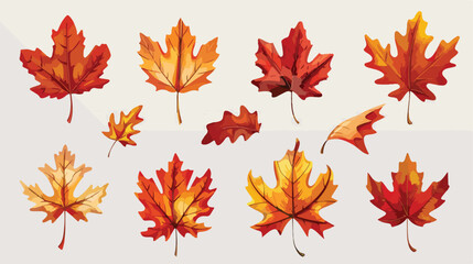 Maple leaves icon collection isolated on transparent