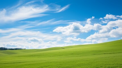 Fototapeta na wymiar Beautiful grassy fields and summer blue sky with fluffy white clouds