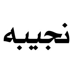 Najeeba Muslim Girls Name Naskh Font Arabic Calligraphy