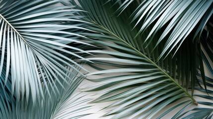 Beautiful natural background with textured palm leaves 