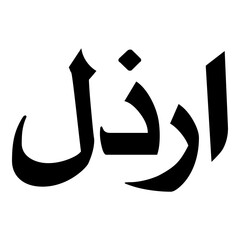 Orzala Muslim Girls Name Naskh Font Arabic Calligraphy