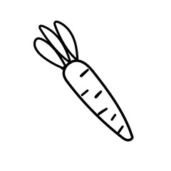 Easter carrot doodles hand drawn - 752736099
