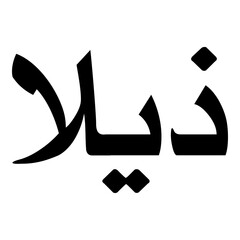 Zilla Muslim Girls Name Naskh Font Arabic Calligraphy