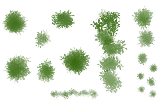 平面図用　植栽