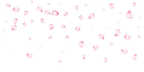 Flying pink petals transparent background. Beautiful floral overlay with lots of rose petals.