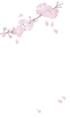 手描きの水彩タッチの桜の花のフレームのベクターイラスト