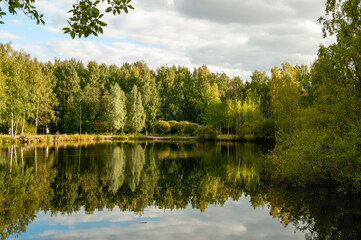 Obraz premium reflection of trees in the water