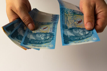 Hungarian 1000 HUF banknotes in a hand
