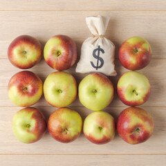 Apples and a US dollar sack in neat order - 752747604