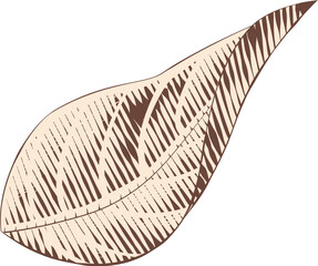 Vintage Engraving Drawing Leaf