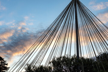 夕暮れ迫る晩秋の兼六園・唐崎松