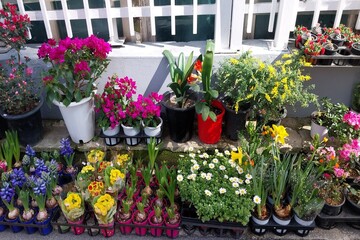 Flower shop planter stand