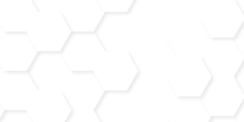 Abstract background with hexagonal hexagon polygonal pattern vector. 3d seamless bright white web cell line grid digital tile abstract honeycomb background.