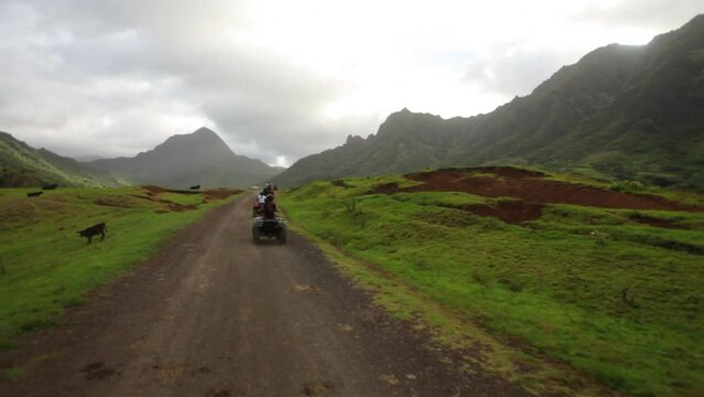 Epic steady cam shot alongside four-wheelers in Hawaiian valley