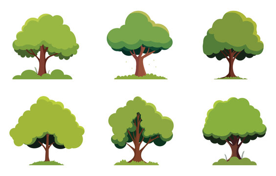 Set of trees isolated on a white background. Each species of tree. A tree with green leaves and a bush under it. Vector illustration flat design style
