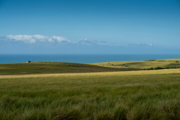 The Wild Coast, known also as the Transkei, open veld, fields of grassland and steamy jungle or coastal forests. The rugged and unspoiled Coastline and grasslands and African veld grazing for Nguni ca