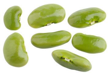 Close up of nuts isolated on transparent png background, types of nuts concept, popular nutrients and high protein snack, essential fiber and healthy fats.