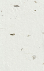 Kraft unique organic art design paper texture with detailed leafs fibers.