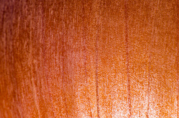 Onion peel close-up, background, texture
