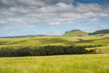 Obraz premium The Wild Coast, known also as the Transkei, open veld, fields of grassland and steamy jungle or coastal forests. The rugged and unspoiled Coastline and grasslands and African veld grazing for Nguni ca